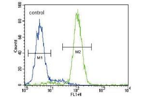 Flow Cytometry (FACS) image for anti-3-Hydroxy-3-Methylglutaryl-CoA Synthase 2 (Mitochondrial) (HMGCS2) antibody (ABIN3002804)