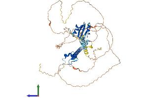 AlphaFold protein structure predicition of Mouse Recombinant Deaf1 Protein, UniprotID Q9Z1T5