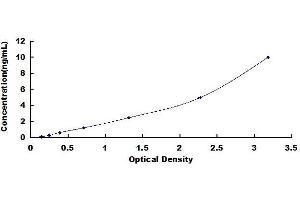 Typical standard curve (Kallikrein 7 Kit ELISA)