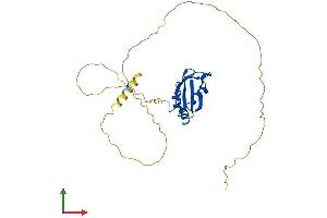 AlphaFold protein structure predicition of Human Recombinant RBM7 Protein, UniprotID Q9Y580
