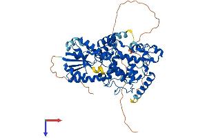 AlphaFold protein structure predicition of Mouse Recombinant Cry2 Protein, UniprotID Q9R194