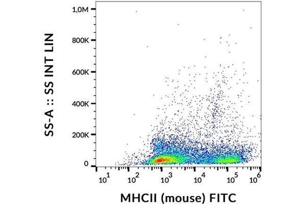 MHC Class II anticorps  (FITC)