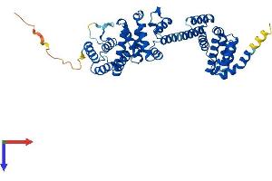 AlphaFold protein structure predicition of Mouse Recombinant Bzw1 Protein, UniprotID Q9CQC6