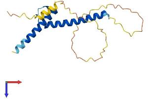 AlphaFold protein structure predicition of Mouse Recombinant Ferd3l Protein, UniprotID Q923Z4