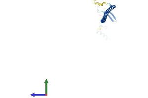 AlphaFold protein structure predicition of Human Recombinant STMN3 Protein, UniprotID Q9NZ72