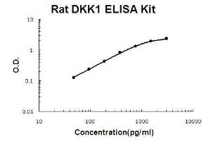 Rat DKK1 PicoKine ELISA Kit standard curve (DKK1 Kit ELISA)