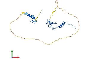 AlphaFold protein structure predicition of Human Recombinant ZFAND5 Protein, UniprotID O76080