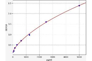 Typical standard curve (DDIT4 Kit ELISA)