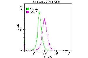 Overlay histogram showing SH-SY5Y cells stained with ABIN7127513 (red line) at 1:50.