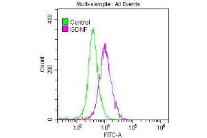 Overlay histogram showing SH-SY5Y cells stained with ABIN7127513 (red line) at 1:50. (Recombinant GDNF anticorps)