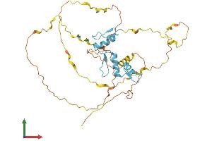 AlphaFold protein structure predicition of Human Recombinant KLF2 Protein, UniprotID Q9Y5W3