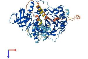 AlphaFold protein structure predicition of Human Recombinant POLA2 Protein, UniprotID Q14181
