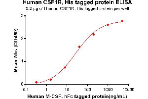 ELISA plate pre-coated by 2 μg/mL (100 μL/well) Human R, His tagged protein (ABIN6961125, ABIN7042279 and ABIN7042280) can bind Human M-CSF, hFc Tagged protein ABIN7092715, ABIN7272254 and ABIN7272255 in a linear range of 0.