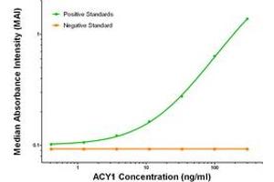 ELISA image for anti-Aminoacylase 1 (ACY1) antibody (ABIN2716054)