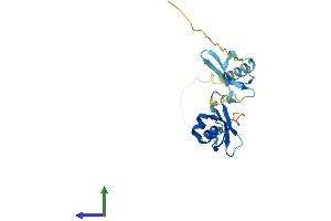 AlphaFold protein structure predicition of Human Recombinant CBX1 Protein, UniprotID P83916