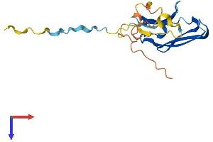 AlphaFold protein structure predicition of Mouse Recombinant Cryab Protein, UniprotID P23927