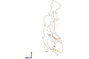 AlphaFold protein structure predicition of Mouse Recombinant Derpc Protein, UniprotID P0CG14