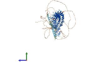 AlphaFold protein structure predicition of Human Recombinant INVS Protein, UniprotID Q9Y283
