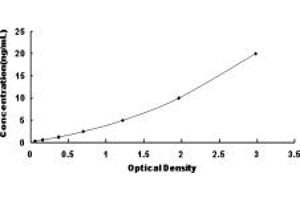 Typical standard curve (PRKAB1 Kit ELISA)