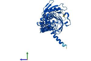 AlphaFold protein structure predicition of Mouse Recombinant Ass1 Protein, UniprotID P16460