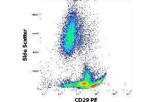 Flow cytometry surface staining pattern of human peripheral whole blood stained using anti-human CD29 (MEM-101A) PE antibody (20 μL reagent / 100 μL of peripheral whole blood).