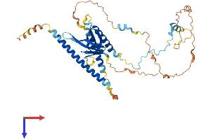 AlphaFold protein structure predicition of Mouse Recombinant Plekho1 Protein, UniprotID Q9JIY0