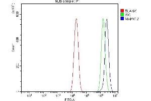 Flow Cytometry analysis of U20S cells using anti-P38 Gamma/MAPK12 antibody (ABIN7600727). (MAPK12 anticorps  (AA 229-367))