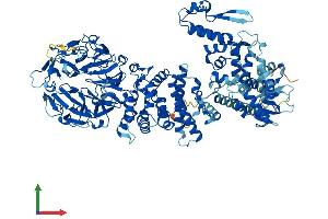 AlphaFold protein structure predicition of Mouse Recombinant Herc4 Protein, UniprotID Q6PAV2