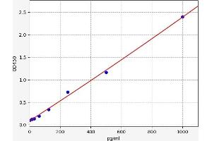 Interleukin 22 (IL22) ELISA Kit