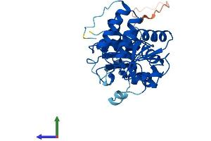 AlphaFold protein structure predicition of Human Recombinant STYXL1 Protein, UniprotID Q9Y6J8