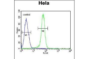 Flow cytometric analysis of Hela cells (right histogram) compared to a negative control cell (left histogram). (NPAP1 anticorps  (AA 348-377))