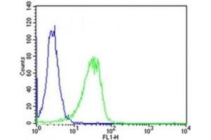 Flow cytometric analysis of HeLa cells using Shh antibody (green) compared to an isotype control of rabbit IgG (blue); Ab was diluted at 1:25 dilution.