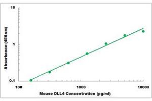 Representative Standard Curve (DLL4 Kit ELISA)