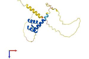 AlphaFold protein structure predicition of Human Recombinant RAX2 Protein, UniprotID Q96IS3