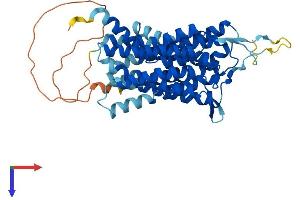 G Protein-Coupled Receptor 172B (GPR172B) (AA 1-448) protein (His tag)