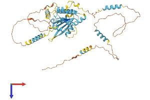 AlphaFold protein structure predicition of Human Recombinant DYNC1LI2 Protein, UniprotID O43237
