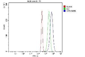 Flow Cytometry analysis of SiHa cells using anti-Histone H1. (Histone H1 anticorps  (AA 20-159))