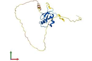 AlphaFold protein structure predicition of Mouse Recombinant Hdgfl3 Protein, UniprotID Q9JMG7