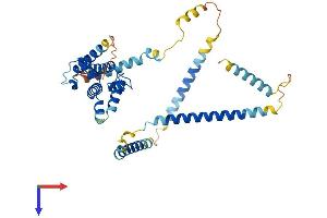 AlphaFold protein structure predicition of Mouse Recombinant Haus7 Protein, UniprotID Q8BKT8