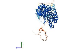 AlphaFold protein structure predicition of Mouse Recombinant Dus2 Protein, UniprotID Q9D7B1