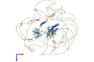 Synergin gamma (SYNRG) (AA 1-1306) protein (His tag)