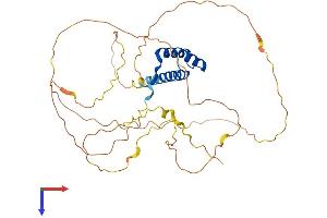 AlphaFold protein structure predicition of Mouse Recombinant Nkx2-1 Protein, UniprotID P50220