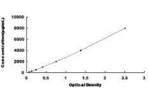 Galectin 7 (LGALS7) ELISA Kit