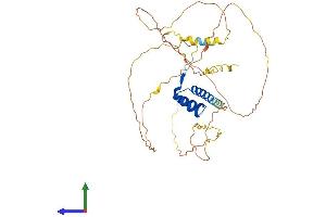 AlphaFold protein structure predicition of Mouse Recombinant Mnx1 Protein, UniprotID Q9QZW9