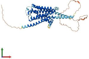 AlphaFold protein structure predicition of Mouse Recombinant Htr1a Protein, UniprotID Q64264