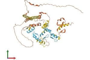 AlphaFold protein structure predicition of Human Recombinant ZNF655 Protein, UniprotID Q8N720