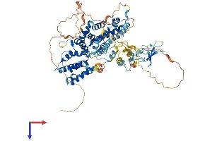 AlphaFold protein structure predicition of Human Recombinant RASGRP3 Protein, UniprotID Q8IV61