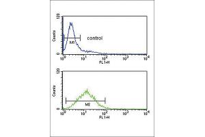 Flow Cytometry (FACS) image for anti-Tumor Protein, Translationally-Controlled 1 (TPT1) antibody (ABIN3003778)