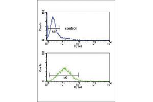 Flow Cytometry (FACS) image for anti-Tumor Protein, Translationally-Controlled 1 (TPT1) antibody (ABIN3003778)