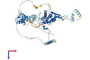 AlphaFold protein structure predicition of Mouse Recombinant Cdt1 Protein, UniprotID Q8R4E9